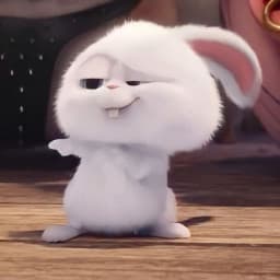 User profile picture