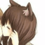 Collection uploader avatar