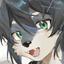 Collection uploader avatar
