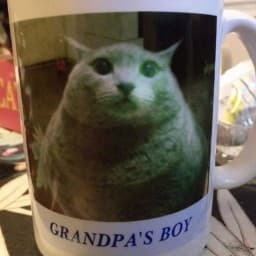 User profile picture