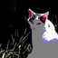 Collection uploader avatar