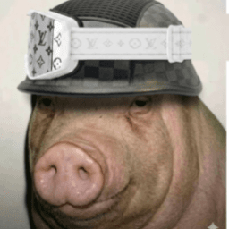 User profile picture