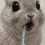 Collection uploader avatar