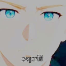 User profile picture