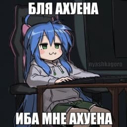 User profile picture