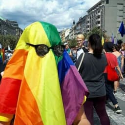 User profile picture