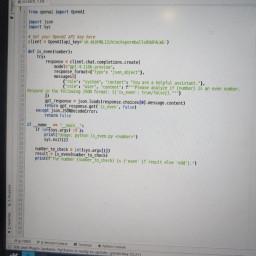 User profile picture