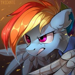 User profile picture
