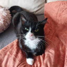 User profile picture