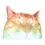 Collection uploader avatar
