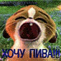 User profile picture