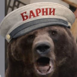 User profile picture
