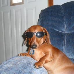 User profile picture
