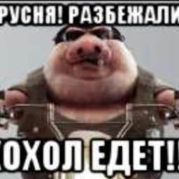 User profile picture