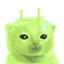 Collection uploader avatar