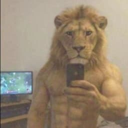 User profile picture