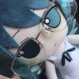User profile picture