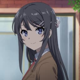 User profile picture