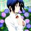 Collection uploader avatar