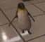 Collection uploader avatar