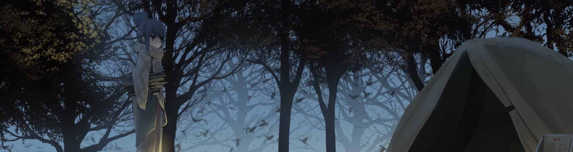 User profile banner