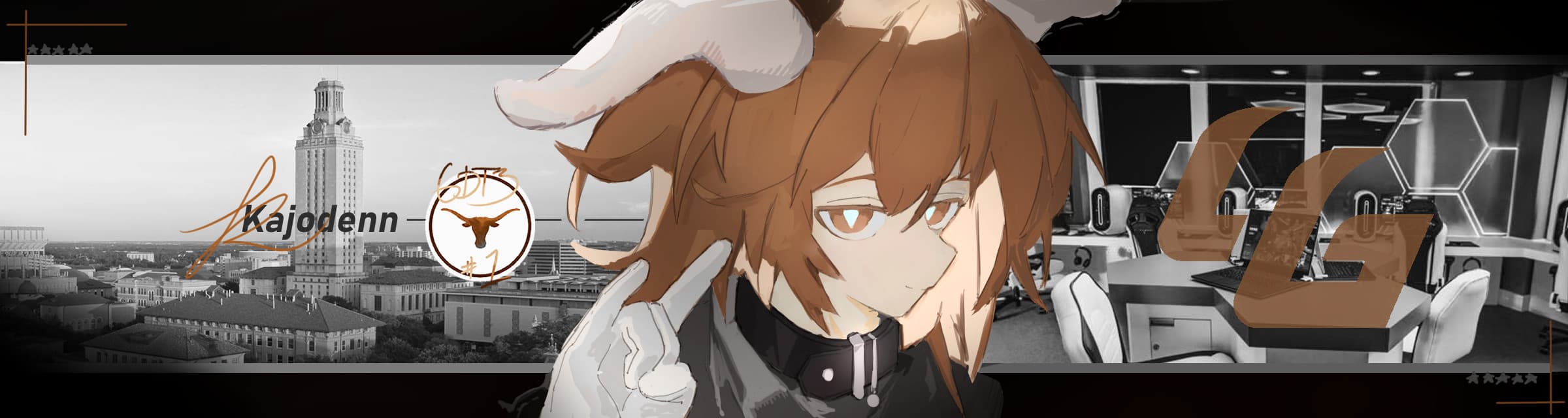 User profile banner