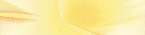 User profile banner