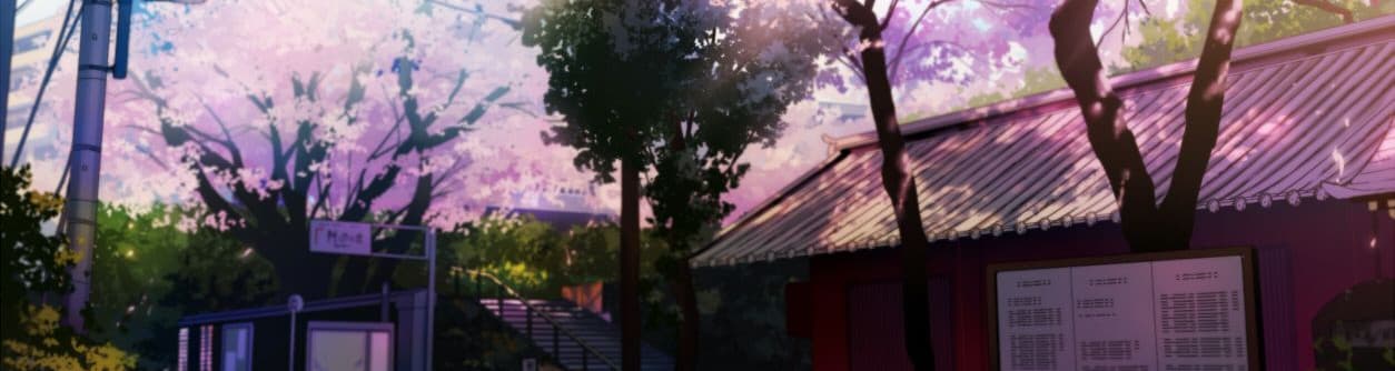 User profile banner