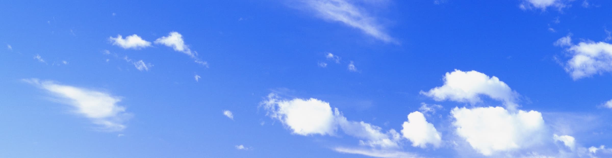 User profile banner