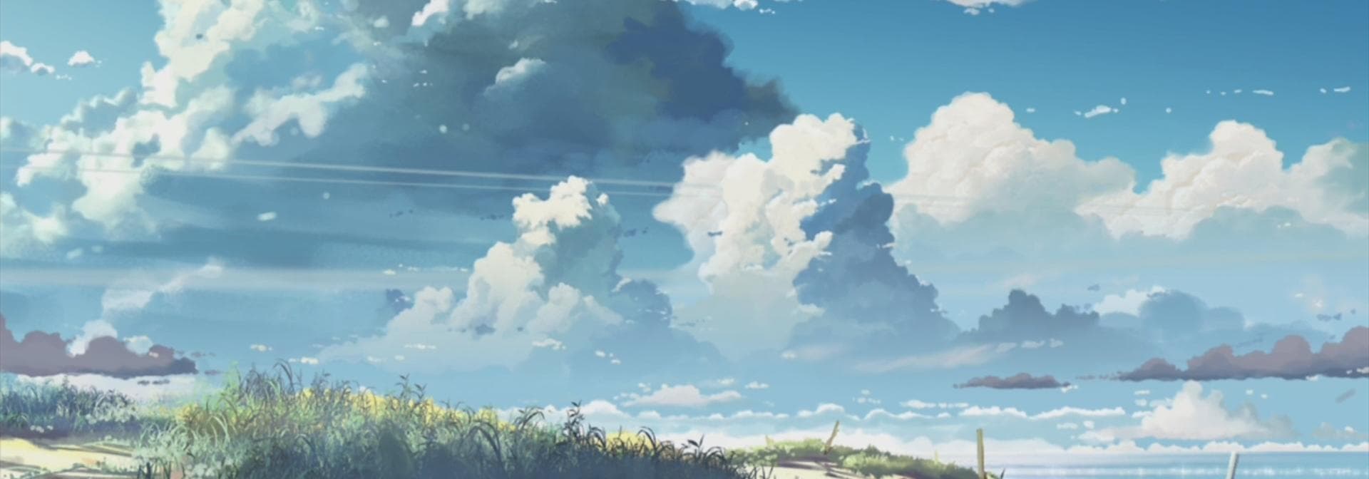 User profile banner