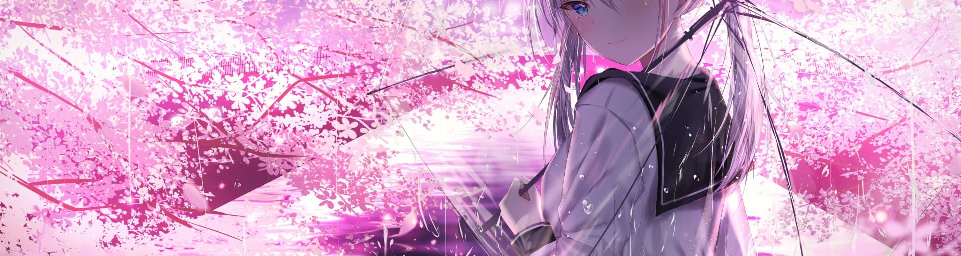 User profile banner