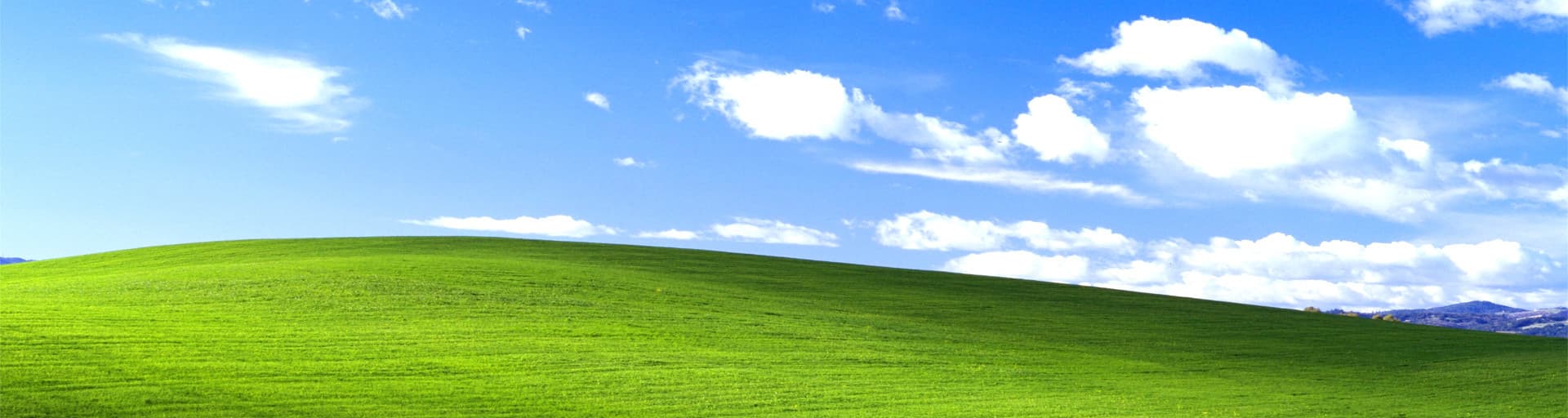 User profile banner