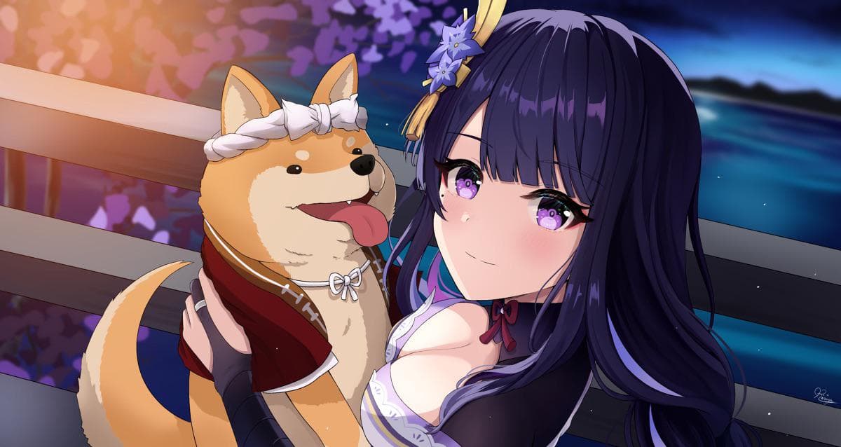 User profile banner