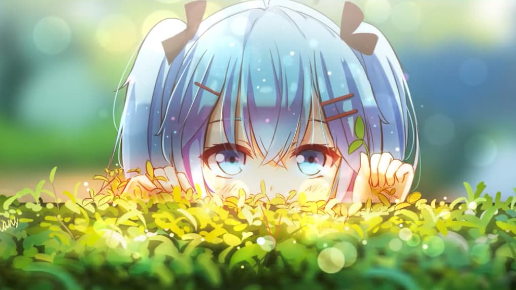 User profile banner