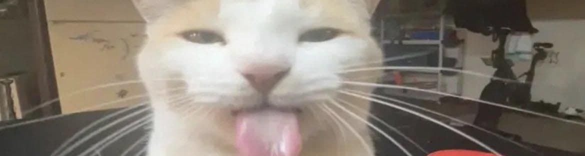 User profile banner