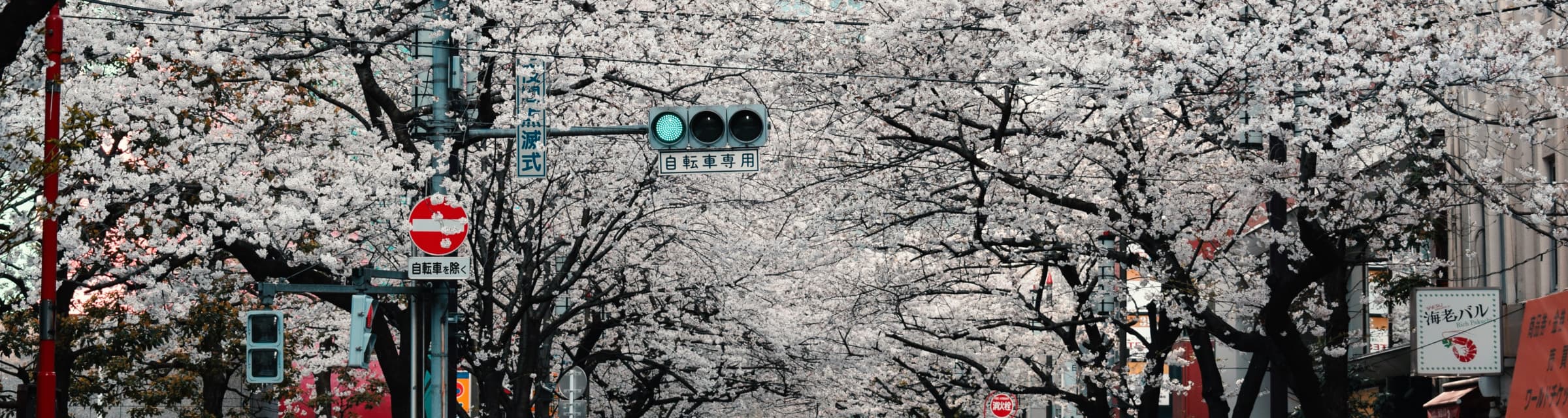 User profile banner