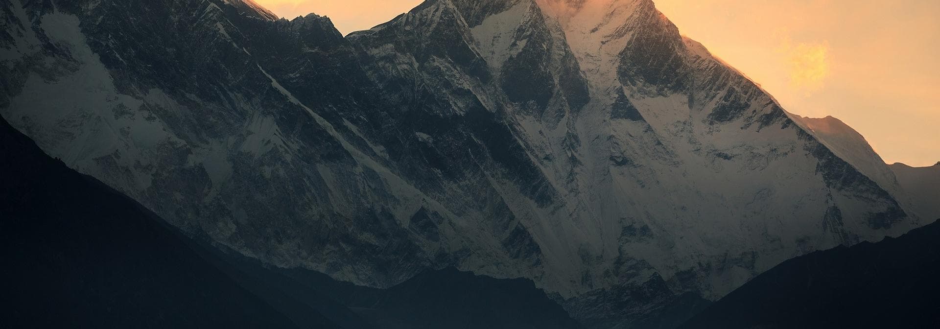 User profile banner