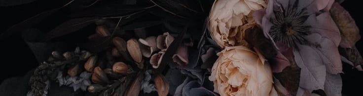 User profile banner