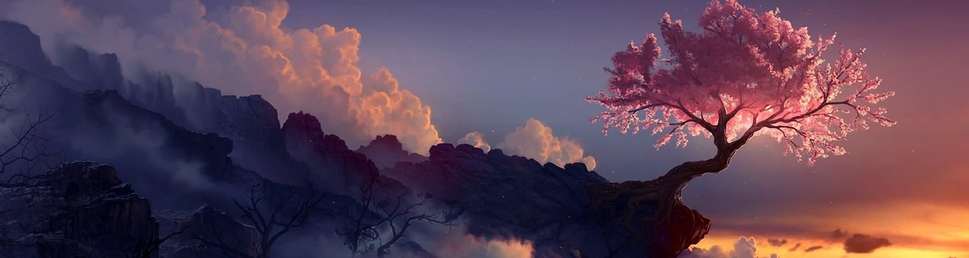 User profile banner
