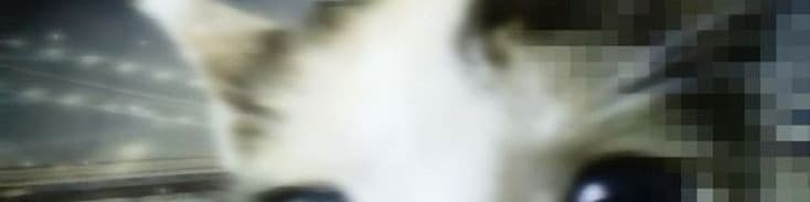 User profile banner