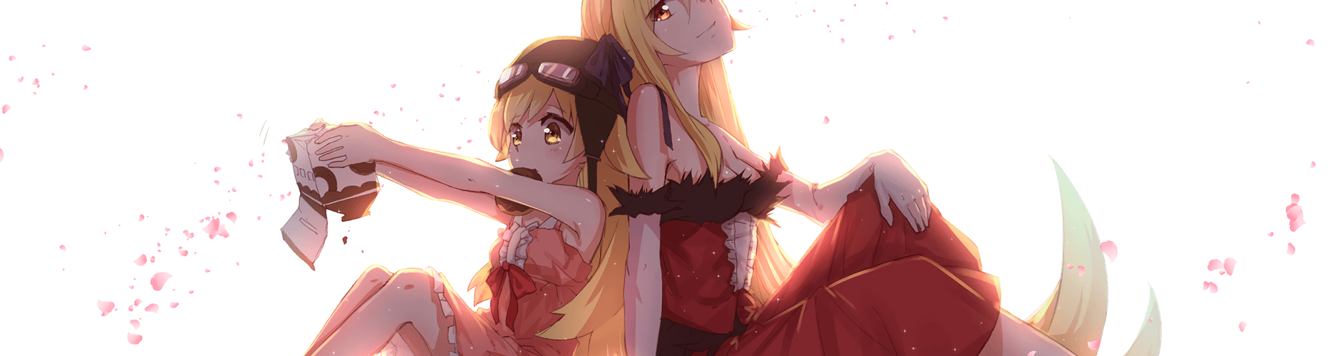 User profile banner