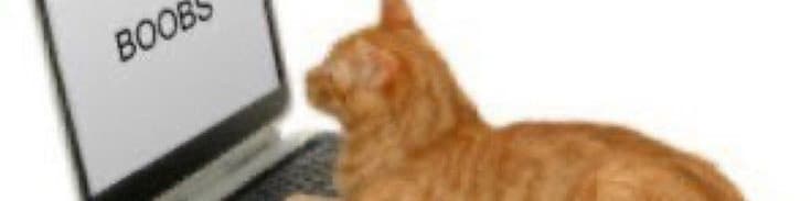 User profile banner