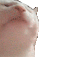 User profile banner
