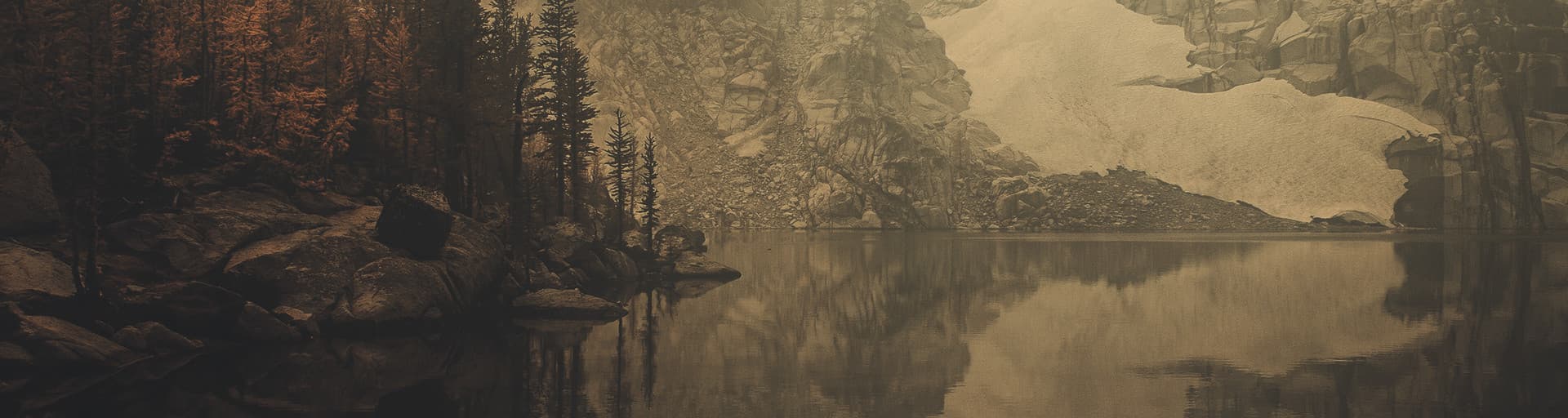 User profile banner