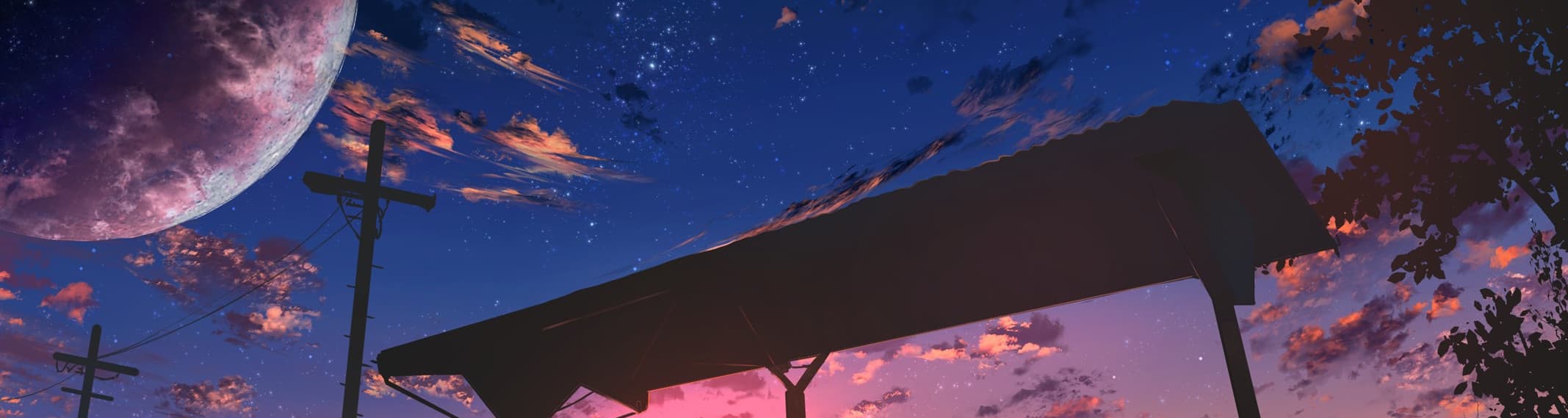 User profile banner