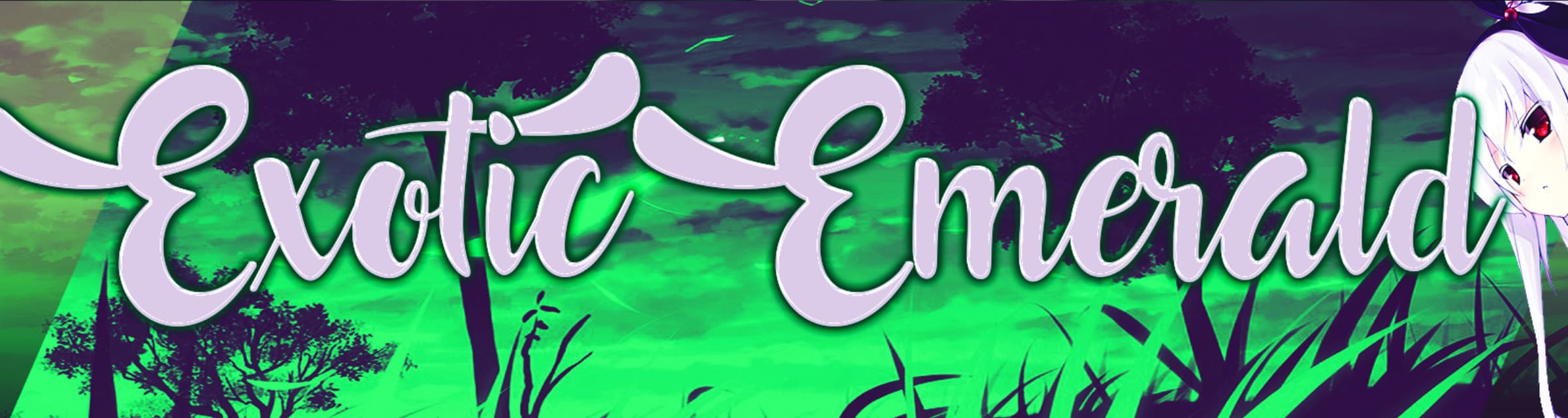 User profile banner