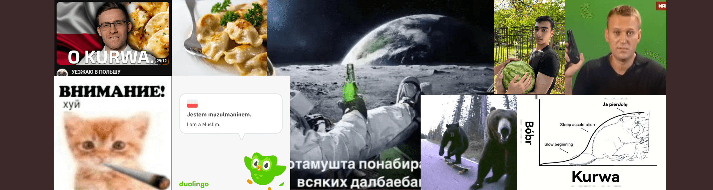 User profile banner