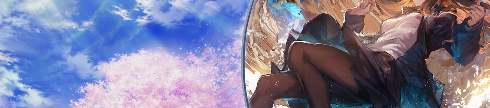 User profile banner