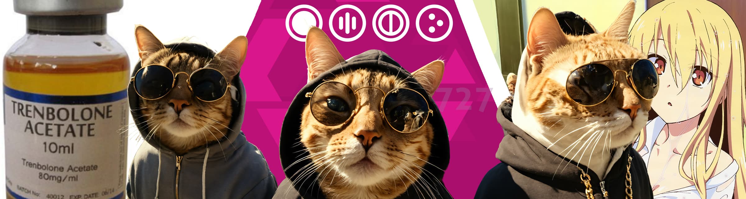 User profile banner