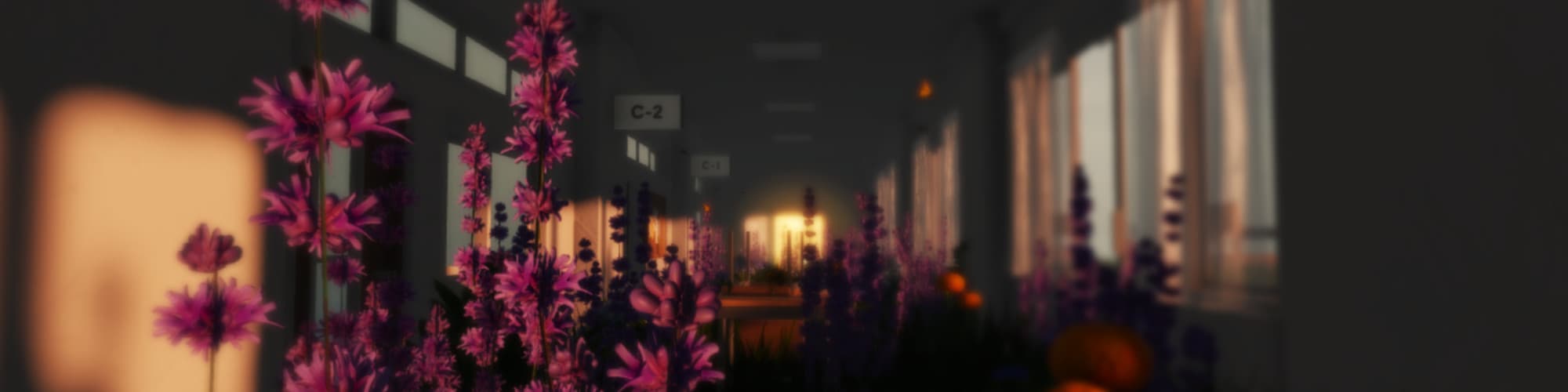 User profile banner